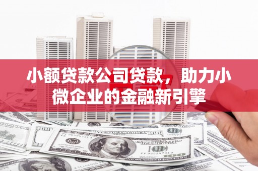 雨城小额贷款公司贷款，助力小微企业的金融新引擎