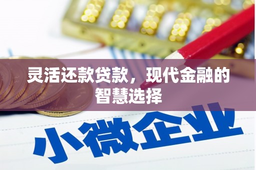 雨城灵活还款贷款，现代金融的智慧选择