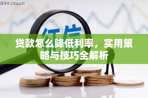 雨城贷款怎么降低利率，实用策略与技巧全解析