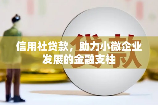 雨城信用社贷款，助力小微企业发展的金融支柱