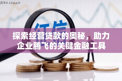 雨城探索经营贷款的奥秘，助力企业腾飞的关键金融工具