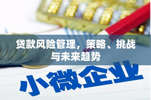 雨城贷款风险管理，策略、挑战与未来趋势