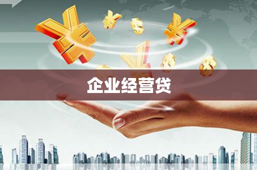 雨城企业经营贷