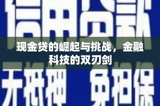 雨城现金贷的崛起与挑战，金融科技的双刃剑