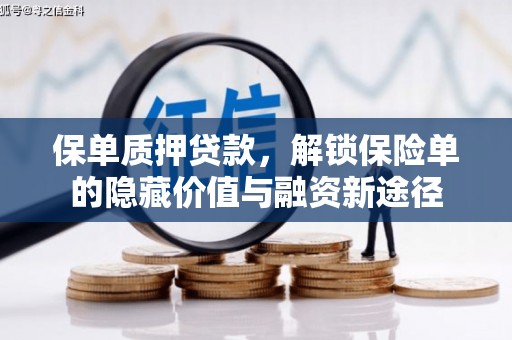 雨城保单质押贷款，解锁保险单的隐藏价值与融资新途径
