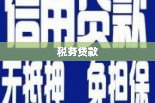 雨城税务贷款