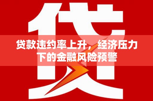 雨城贷款违约率上升，经济压力下的金融风险预警