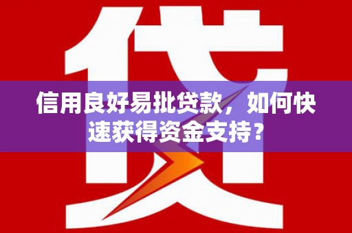 雨城信用良好易批贷款，如何快速获得资金支持？