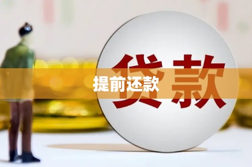 雨城提前还款