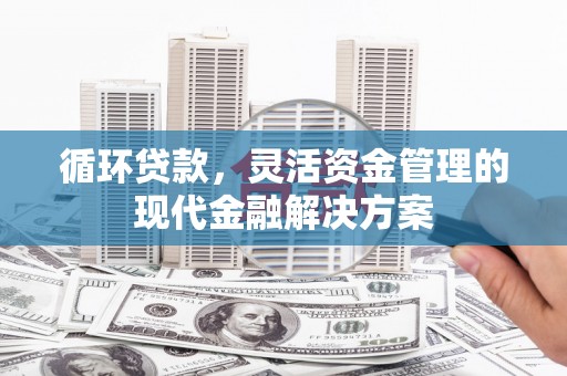 雨城循环贷款，灵活资金管理的现代金融解决方案
