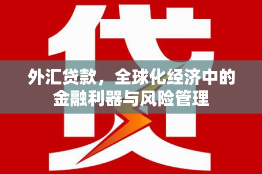 雨城外汇贷款，全球化经济中的金融利器与风险管理