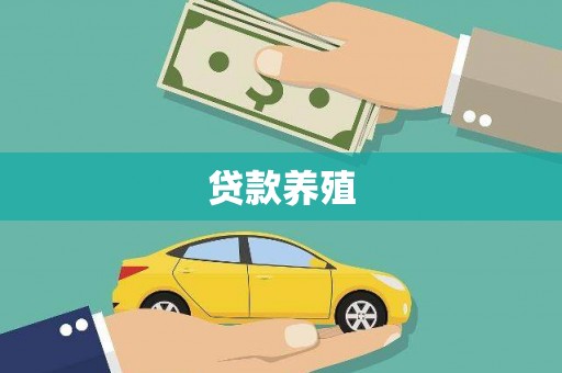 雨城贷款养殖