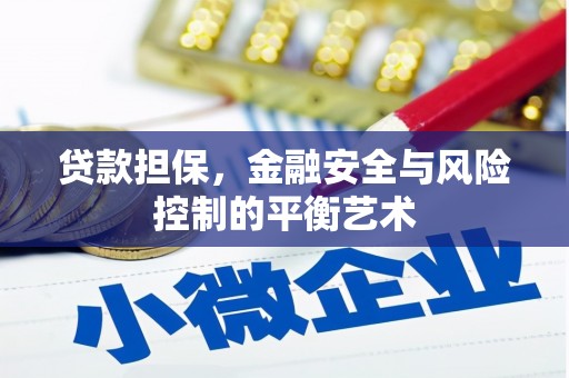 雨城贷款担保，金融安全与风险控制的平衡艺术