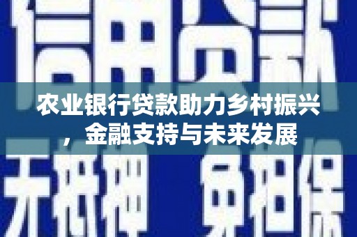 雨城农业银行贷款助力乡村振兴，金融支持与未来发展