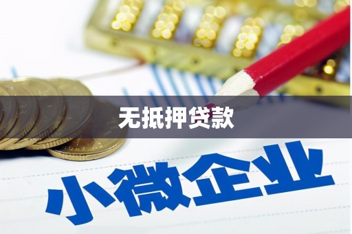 雨城无抵押贷款