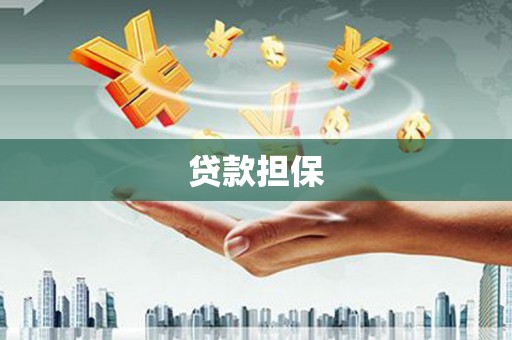 雨城贷款担保