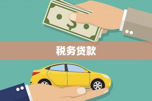 雨城税务贷款