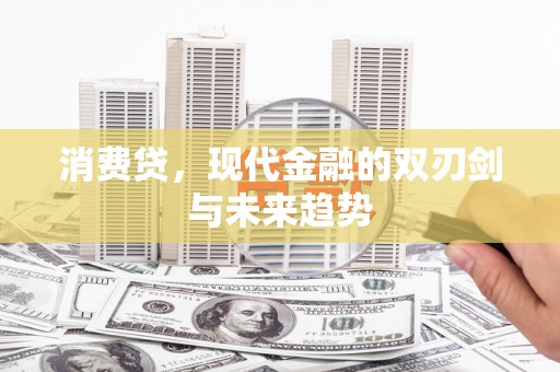 雨城消费贷，现代金融的双刃剑与未来趋势