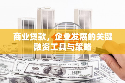 雨城商业贷款，企业发展的关键融资工具与策略