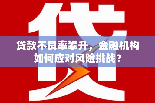 雨城贷款不良率攀升，金融机构如何应对风险挑战？