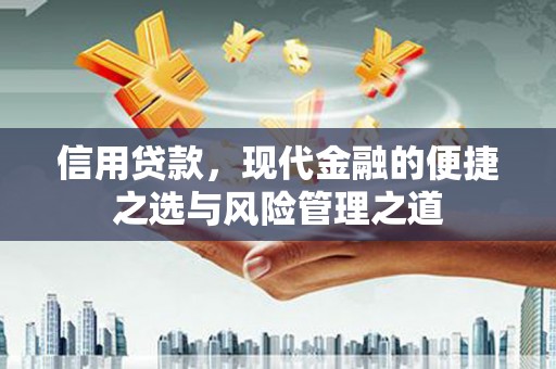 雨城信用贷款，现代金融的便捷之选与风险管理之道