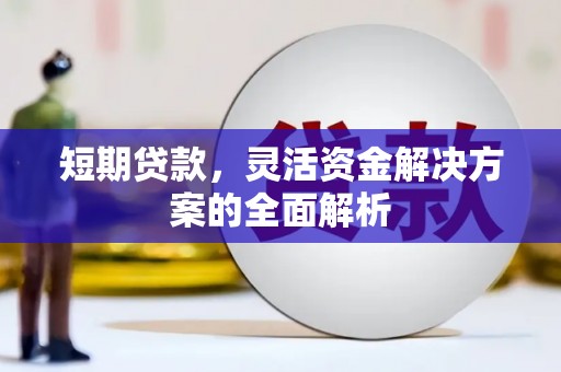 雨城短期贷款，灵活资金解决方案的全面解析