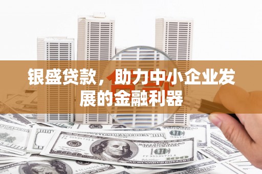 雨城银盛贷款，助力中小企业发展的金融利器