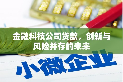 雨城金融科技公司贷款，创新与风险并存的未来