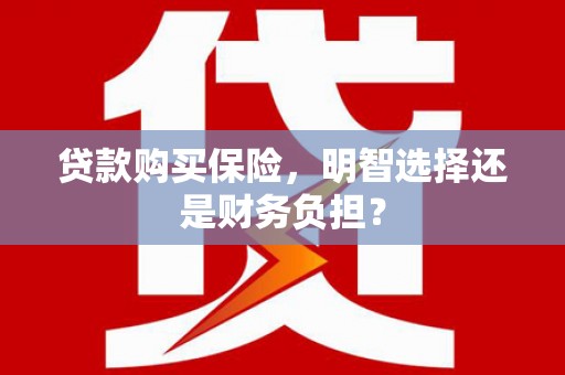 雨城贷款购买保险，明智选择还是财务负担？
