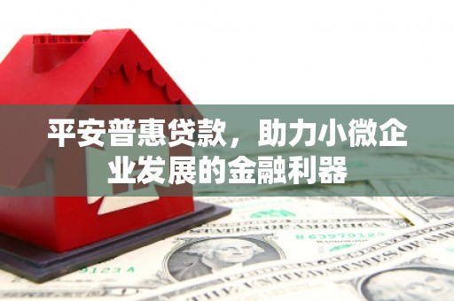 雨城平安普惠贷款，助力小微企业发展的金融利器