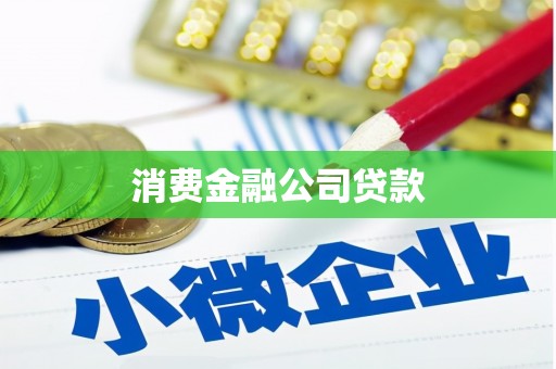 雨城消费金融公司贷款