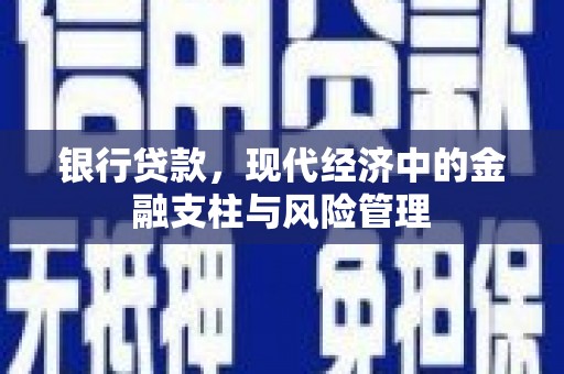 雨城银行贷款，现代经济中的金融支柱与风险管理