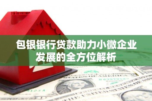 雨城包银银行贷款助力小微企业发展的全方位解析 雨城包银银行贷款助力小微企业发展的全方位解析