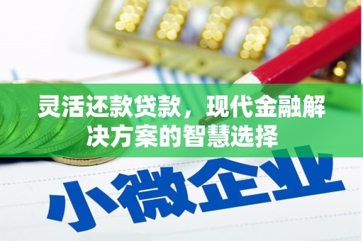 雨城灵活还款贷款，现代金融解决方案的智慧选择