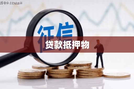 雨城贷款抵押物