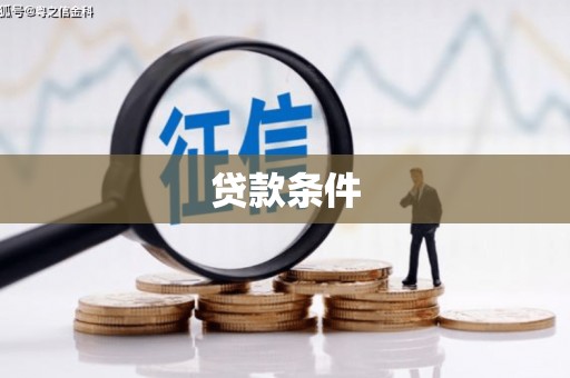 雨城贷款条件