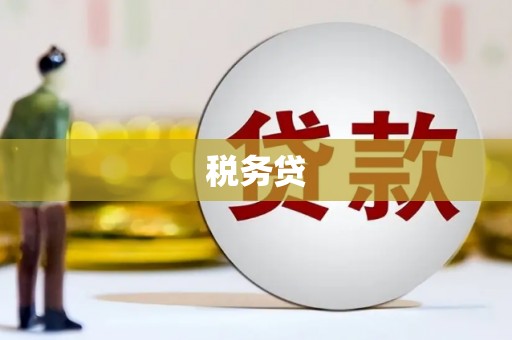 雨城税务贷