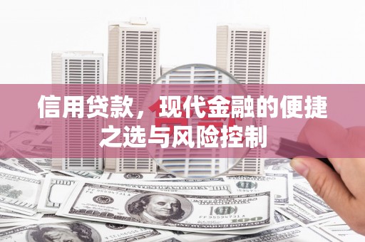 雨城信用贷款，现代金融的便捷之选与风险控制