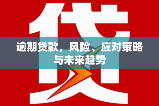雨城逾期贷款，风险、应对策略与未来趋势