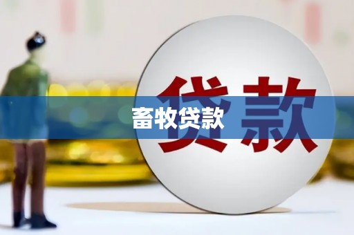 雨城畜牧贷款