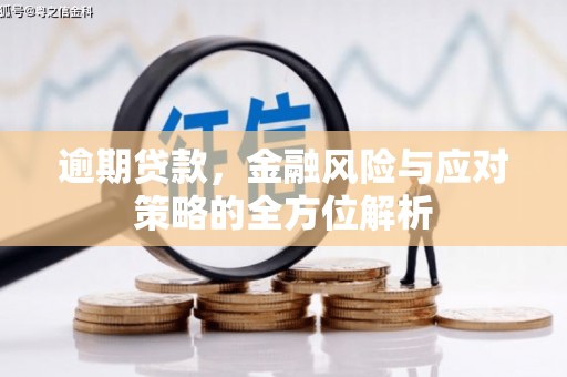 雨城逾期贷款，金融风险与应对策略的全方位解析