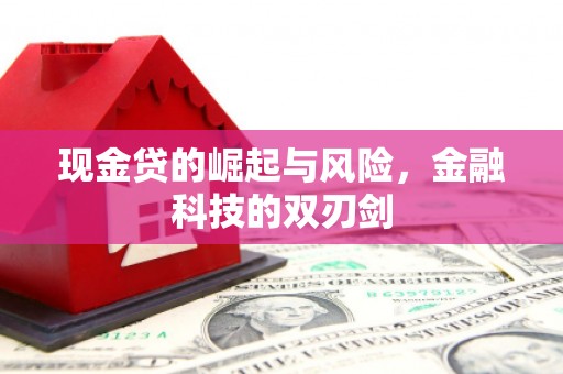 雨城现金贷的崛起与风险，金融科技的双刃剑