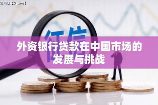 雨城外资银行贷款在中国市场的发展与挑战