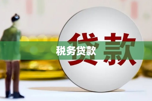 雨城税务贷款