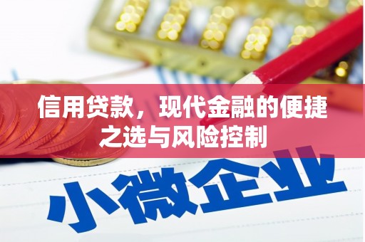 雨城信用贷款，现代金融的便捷之选与风险控制