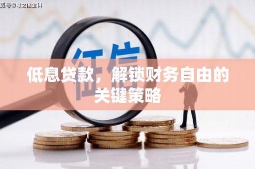 雨城低息贷款，解锁财务自由的关键策略