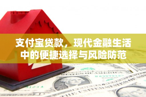 雨城支付宝贷款，现代金融生活中的便捷选择与风险防范
