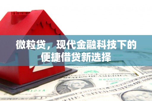 雨城微粒贷，现代金融科技下的便捷借贷新选择