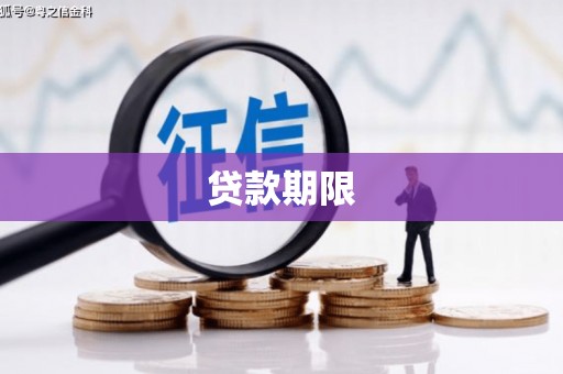 雨城贷款期限