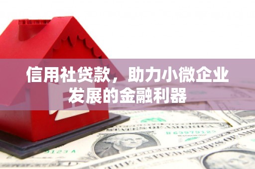 雨城信用社贷款，助力小微企业发展的金融利器